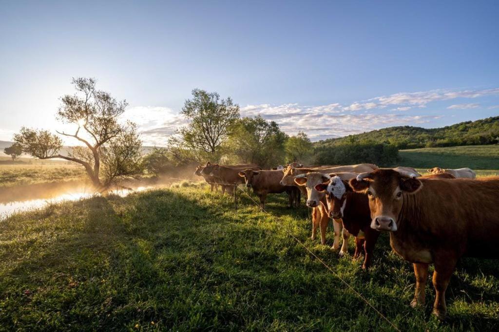 Ranc Crna Stina Villa Livno Exteriör bild