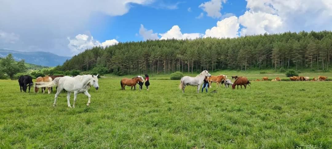 Ranc Crna Stina Villa Livno Exteriör bild