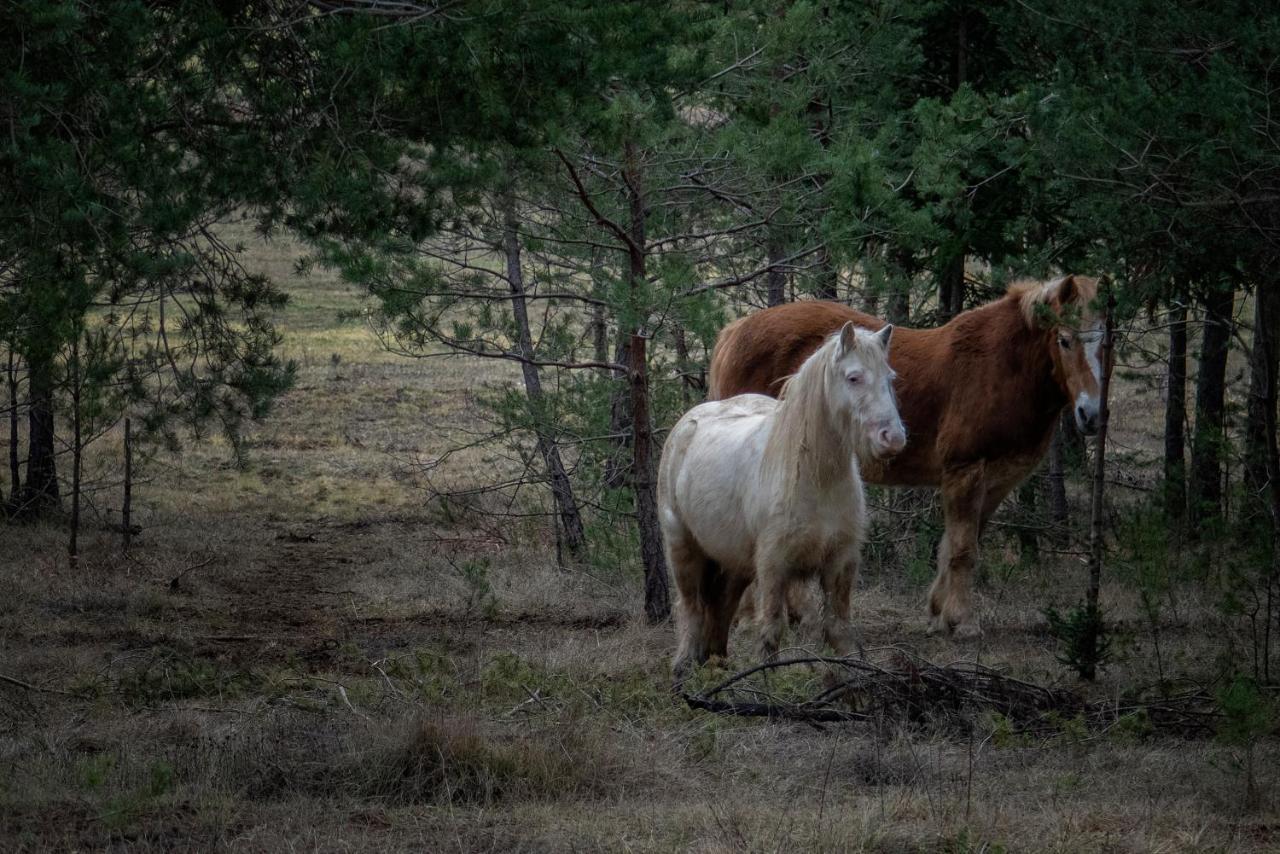 Ranc Crna Stina Villa Livno Exteriör bild