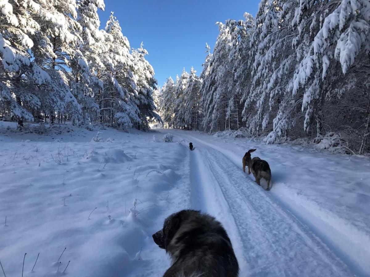 Ranc Crna Stina Villa Livno Exteriör bild