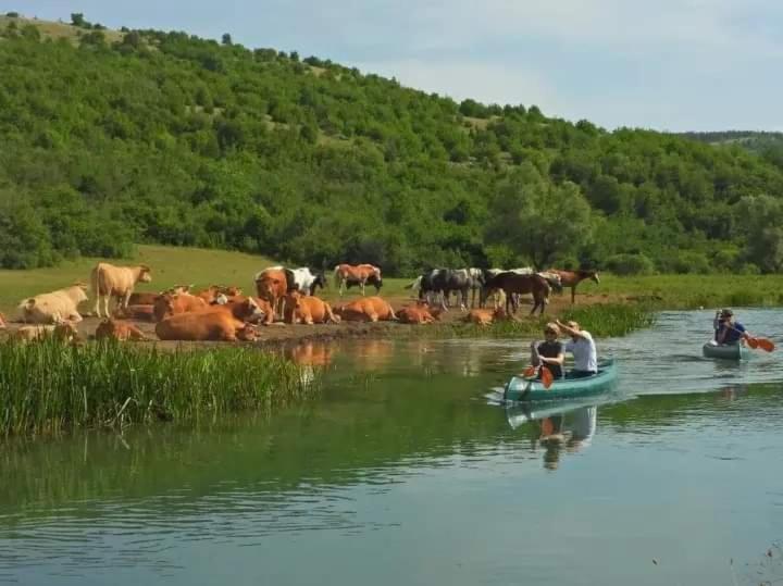 Ranc Crna Stina Villa Livno Exteriör bild