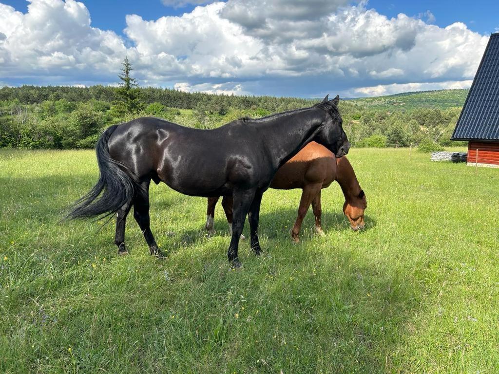 Ranc Crna Stina Villa Livno Exteriör bild