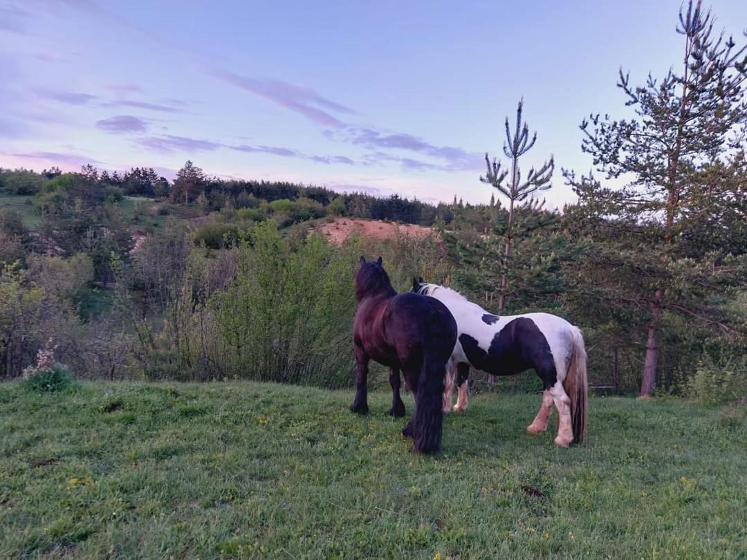 Ranc Crna Stina Villa Livno Exteriör bild