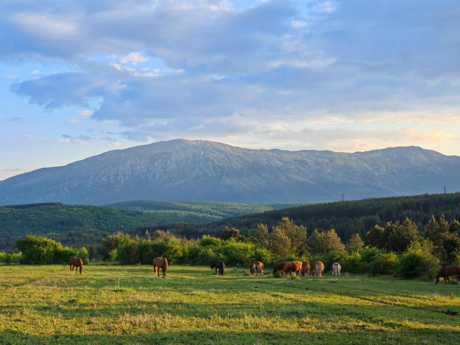 Ranc Crna Stina Villa Livno Exteriör bild